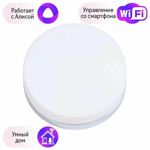 Настенно-потолочный светильник с поддержкой Алисы Комплект от Lustrof 193235 7390₽