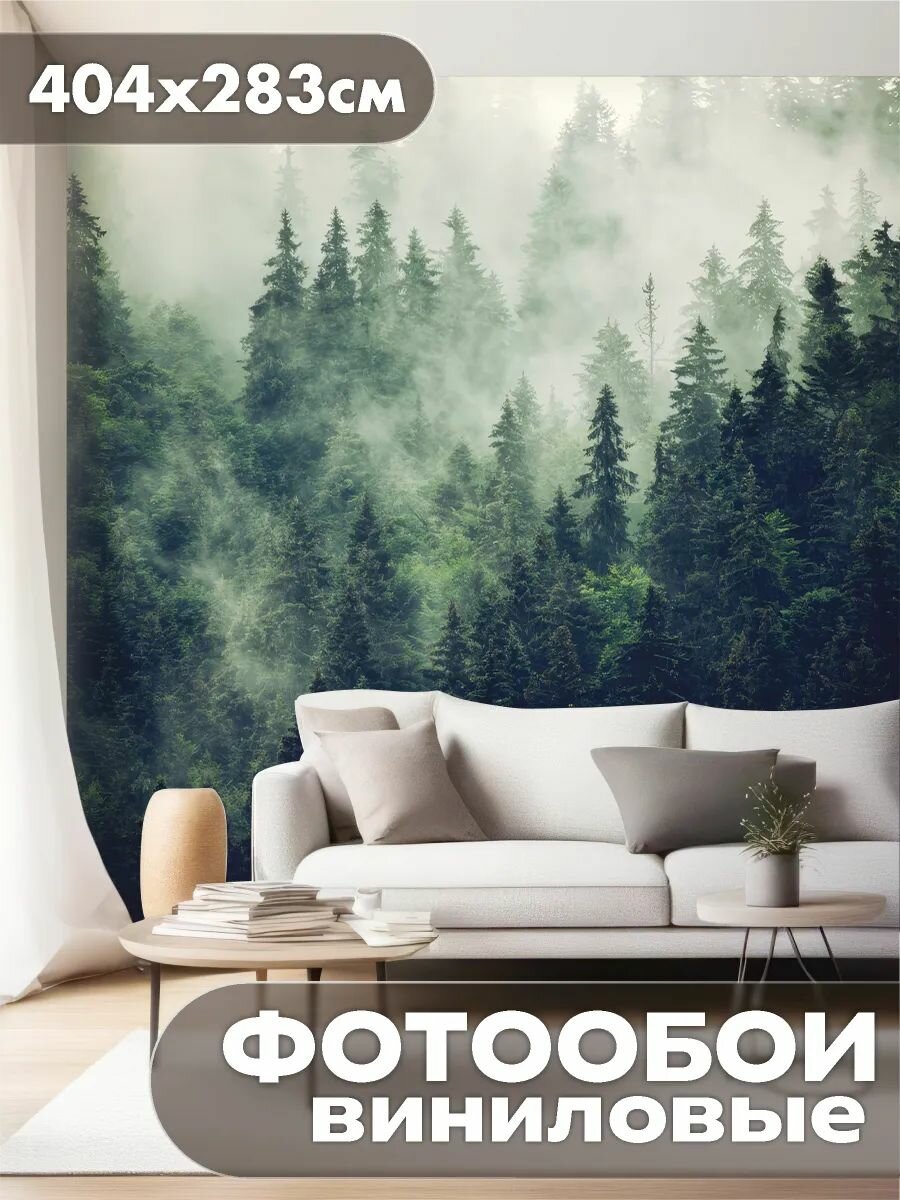 Фотообои 3d для зала и спальни лес в тумане природа пейзаж
