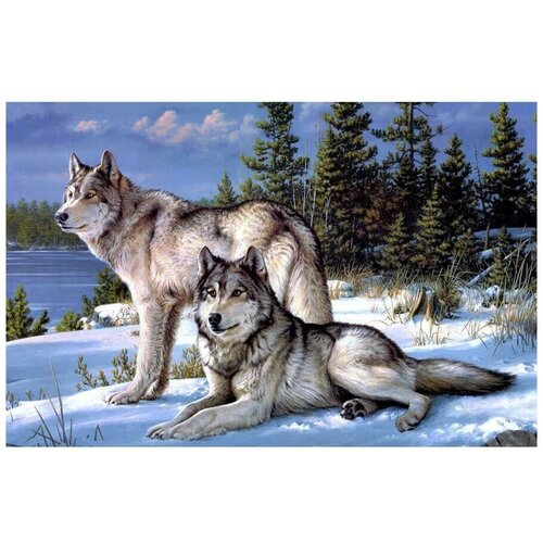 Купить Алмазная мозаика без подрамника 40x50 см Два волка в зимнем лесу, Хоббери