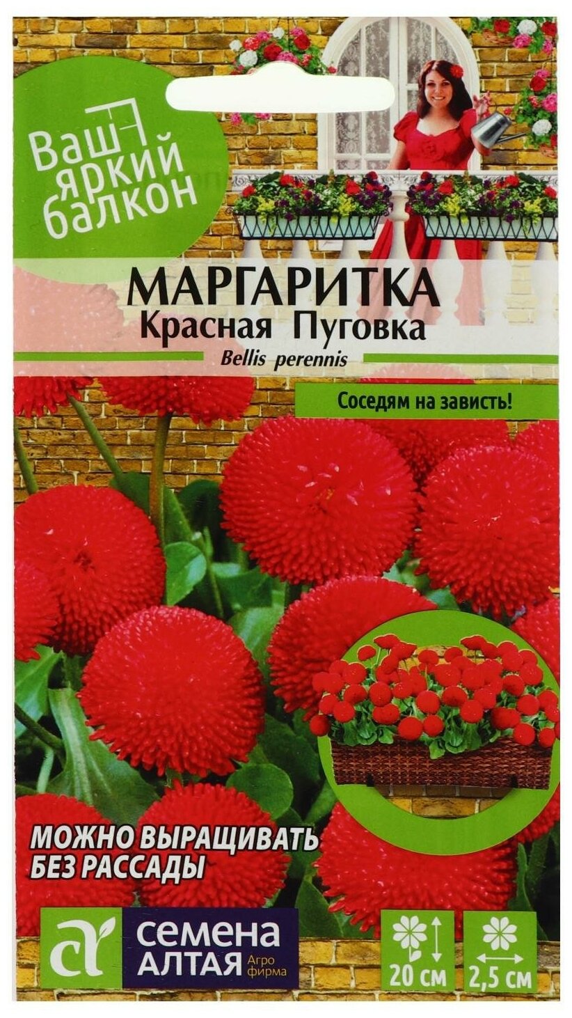 Семена цветов Маргаритка 