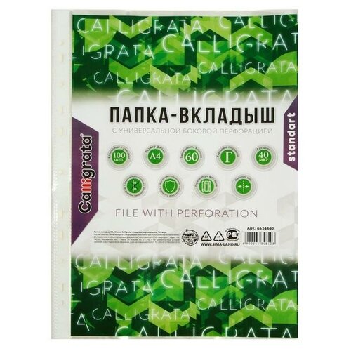 Файл-вкладыш А4, 40 мкм, Calligrata, глянцевый, вертикальный, 100 штук