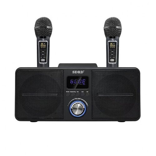 SDRD SD 309 (Чёрный) - караоке система с двумя перезаряжаемыми радиомикрофонами, Bluetooth