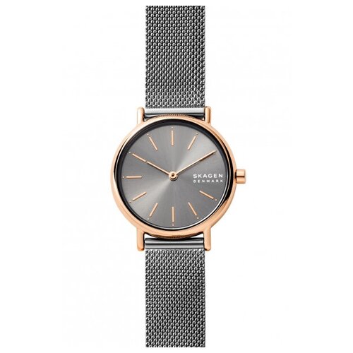 Женские наручные часы Skagen SKW2996