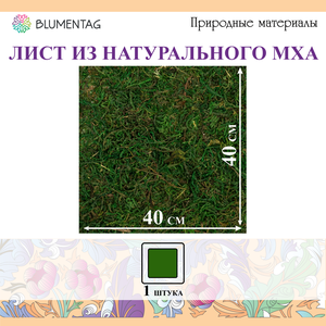 Лист из натурального мха "Blumentag" BKM-40 40 см зеленый