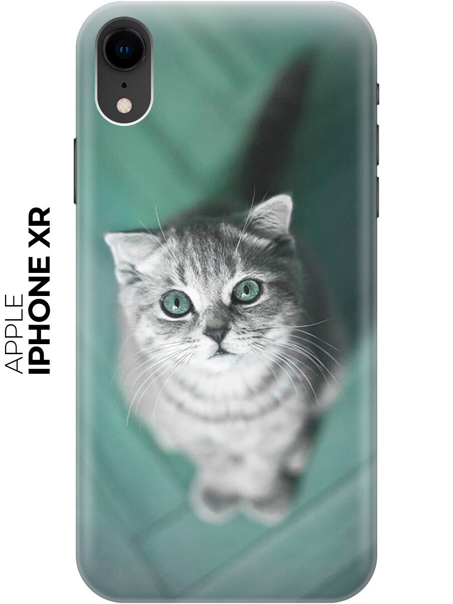 Силиконовый чехол на Apple iPhone XR / Эпл Айфон Икс Эр с рисунком "Котик на зеленом полу"