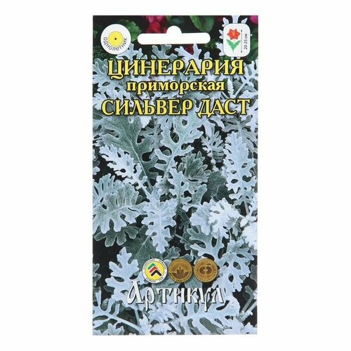 Семена Цветов Цинерария Сильвер Даст, 0 ,05 г ( 1 упаковка ) набор семян цинерария серебряная пыль 0 1 г 3 уп семена для выращивания однолетних цветов