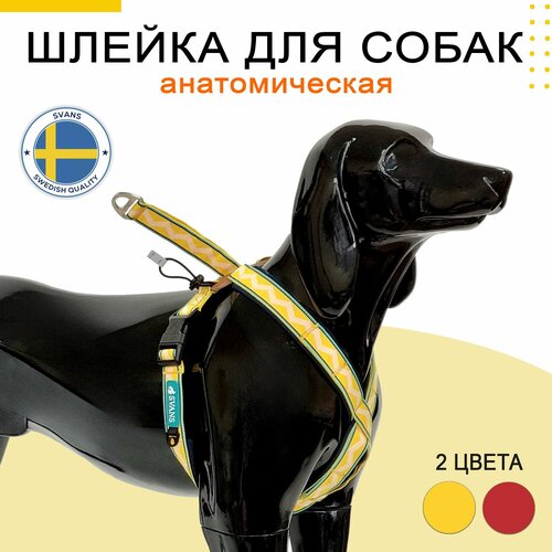 Шлейка анатомическая SVANS, неопрен с подкладкой, желтая, размер S