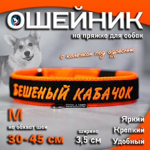 Ошейник для собак Buddy team на пряжке, с вышивкой бешеный кабачок, ширина 3,5 см, с мягким подкладом для средних и крупных пород, размер M