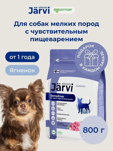 Изображение товара Сухой корм Jarvi полнорационный для взрослых собак мелких пород с чувствительным пищеварением с ягненком, 800 г