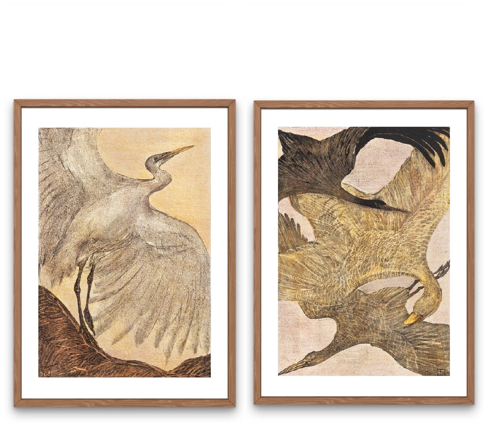 Постеры для интерьера 30х40 см, "Птицы. Литографии" 2 шт, без рамок / картины / набор интерьерных постеров
