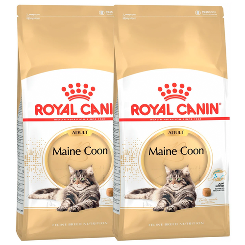 корм сухой royal canin maine coon kitten корм для котят породы мейн кун в возрасте от 3 до 15 месяцев 2 кг х 5 шт Сухой корм для кошек Royal Canin Maine Coon Adult Корм для взрослых кошек породы Мэйн Кун от 15 месяцев до 12 лет 2 уп. х 2 шт. х 4 кг