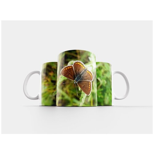 фото Кружка "природа, бабочки дневные, насекомое" 320 мл lotsprints