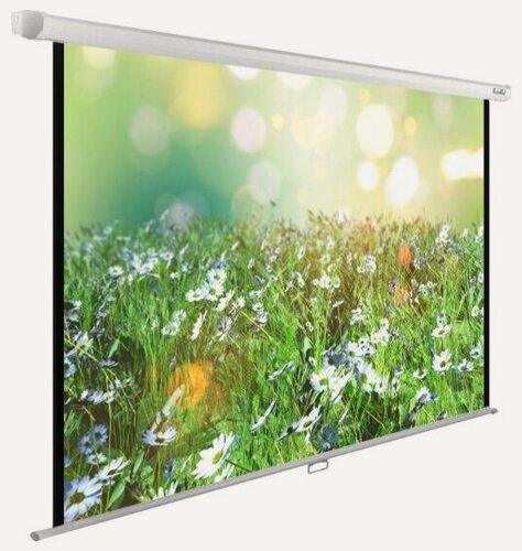 Изображение товара Экран Cactus 200x200см WallExpert CS-PSWE-200x200-WT 1:1 настенно-потолочный рулонный