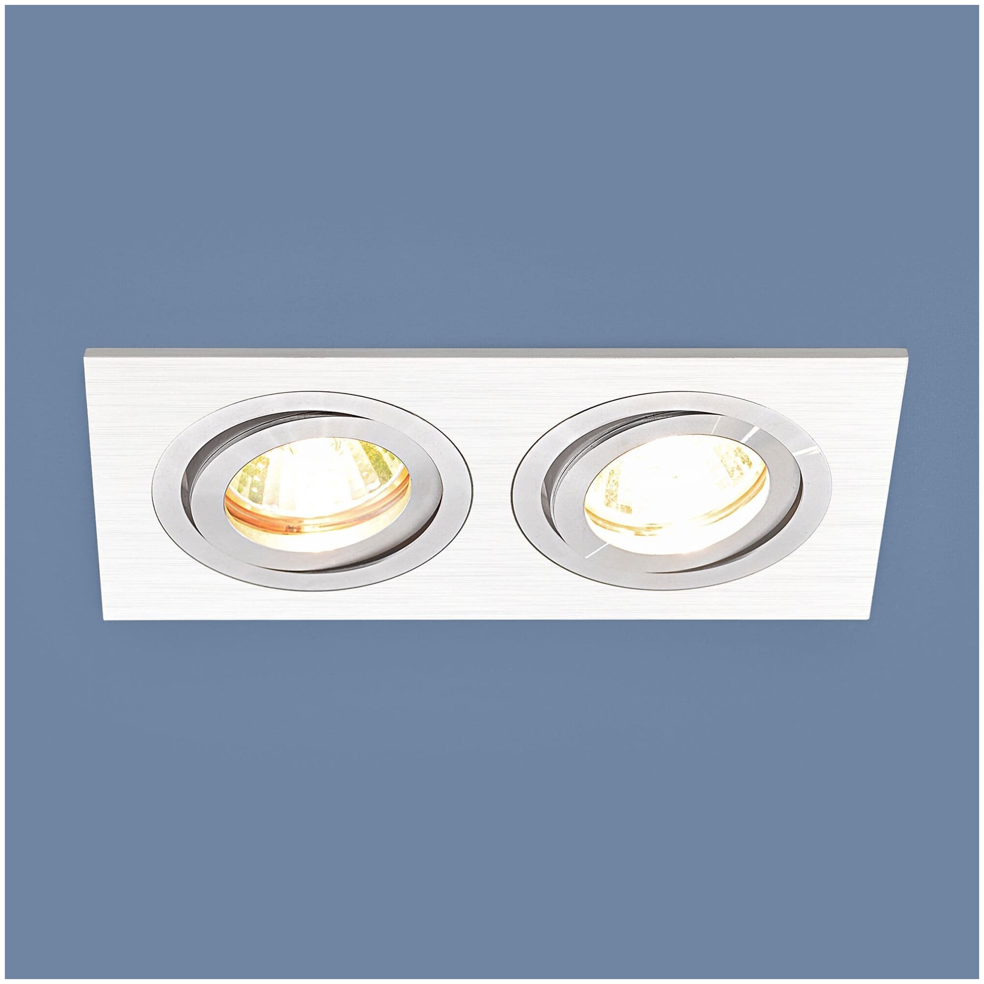 Встраиваемый светильник ELEKTROSTANDARD 1051/2 2*50W G5.3 белый