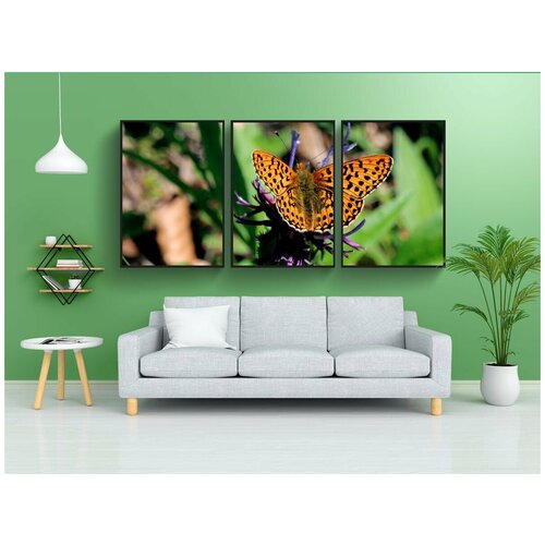 фото Набор модулных постеров для интерьера "перламутровая бабочка болотный луг, болория селена, бабочка" 60x90 см. в тубусе, без рамки lotsprints