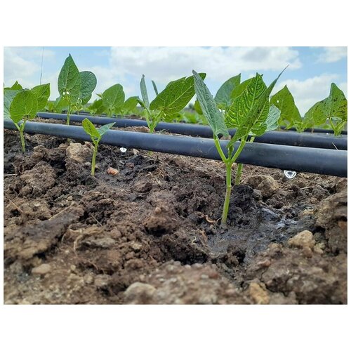 Капельная 8 Mils шаг 20 см 2x25 лента щелевая для полива дачи Капля многолетняя