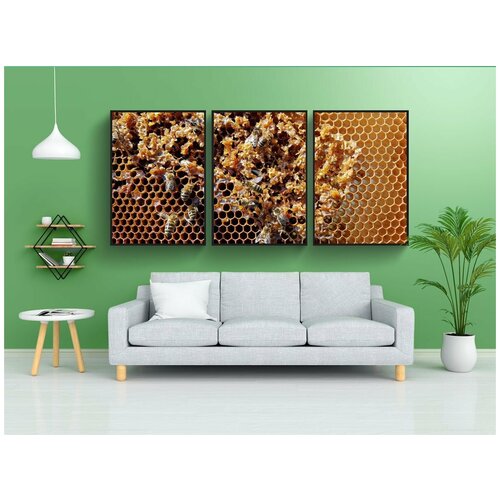 фото Набор модулных постеров для интерьера "соты, пчелы, медовый" 60x90 см. в тубусе, без рамки lotsprints