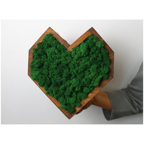 Живая эко-картина для интерьера (сердце малое), 24х24см, коричневый/тёмно-зелёный