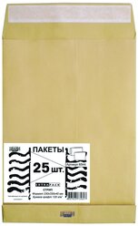 Пакеты в упаковке 76391 Крафт С4стрип Extrapack 229х324100г25шт/уп/6544