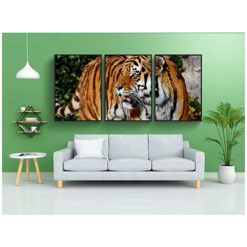фото Набор модулных постеров для интерьера "тигр, голова тигра, большой кот" 60x90 см. в тубусе, без рамки lotsprints