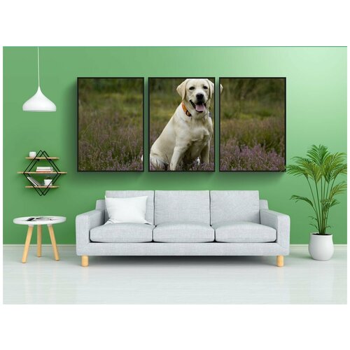 фото Набор модулных постеров для интерьера "лабрадор, щенок" 60x90 см. в тубусе, без рамки lotsprints