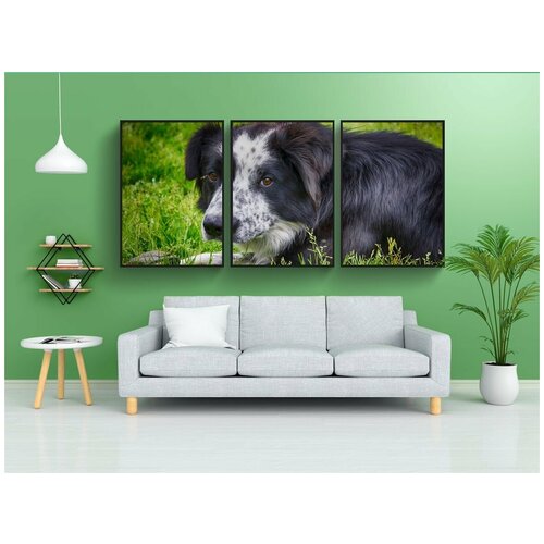 фото Набор модулных постеров для интерьера "собака, лояльный к, животное" 60x90 см. в тубусе, без рамки lotsprints