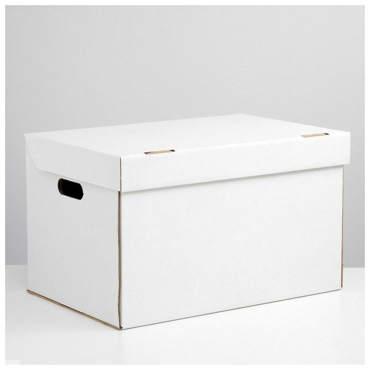 Коробка для хранения, белая, 48 х 32,5 х 29,5 см - фотография № 1