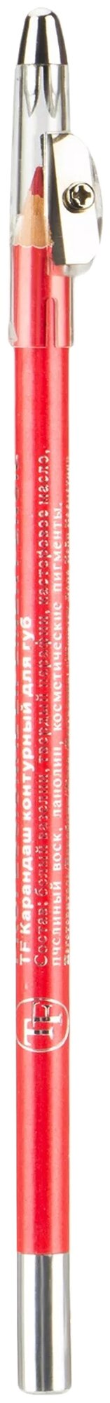 Карандаш для губ с точилкой Triumph Professional Lipliner Pencil 005 пурпурный