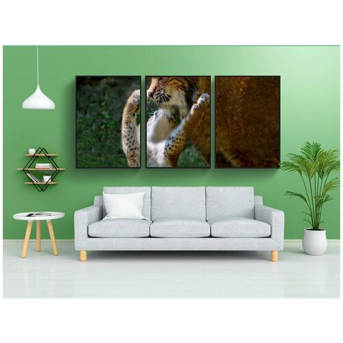 фото Набор модулных постеров для интерьера "животные, рыси, рысь мама с рысь ребенку" 60x90 см. в тубусе, без рамки lotsprints