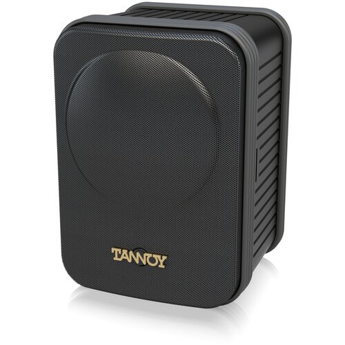 Динамики настенные Tannoy CPA 5