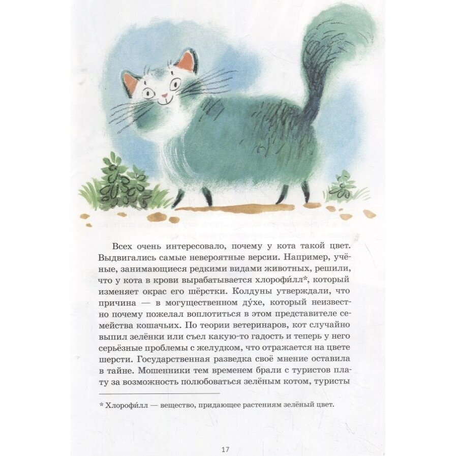 Книга Зеленый кот и чудеса под Новый год - фото №6