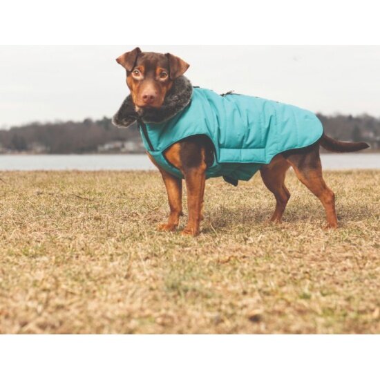 Зимняя куртка Dog Gone Smart Наноя с мех. воротником Hemlock Jacket 25см, синий лазурит