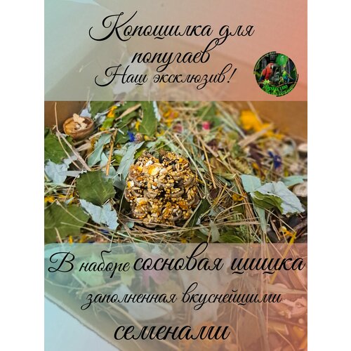 Копошилка для средних и мелких попугаев /Лакомство/Игрушка для попугаев