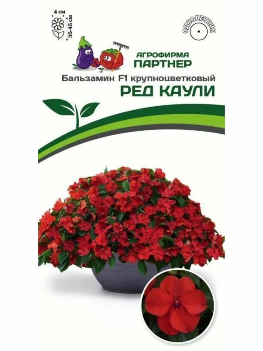 Цветы Бальзамин Уоллера крупноцветковый Ред Каули F1
