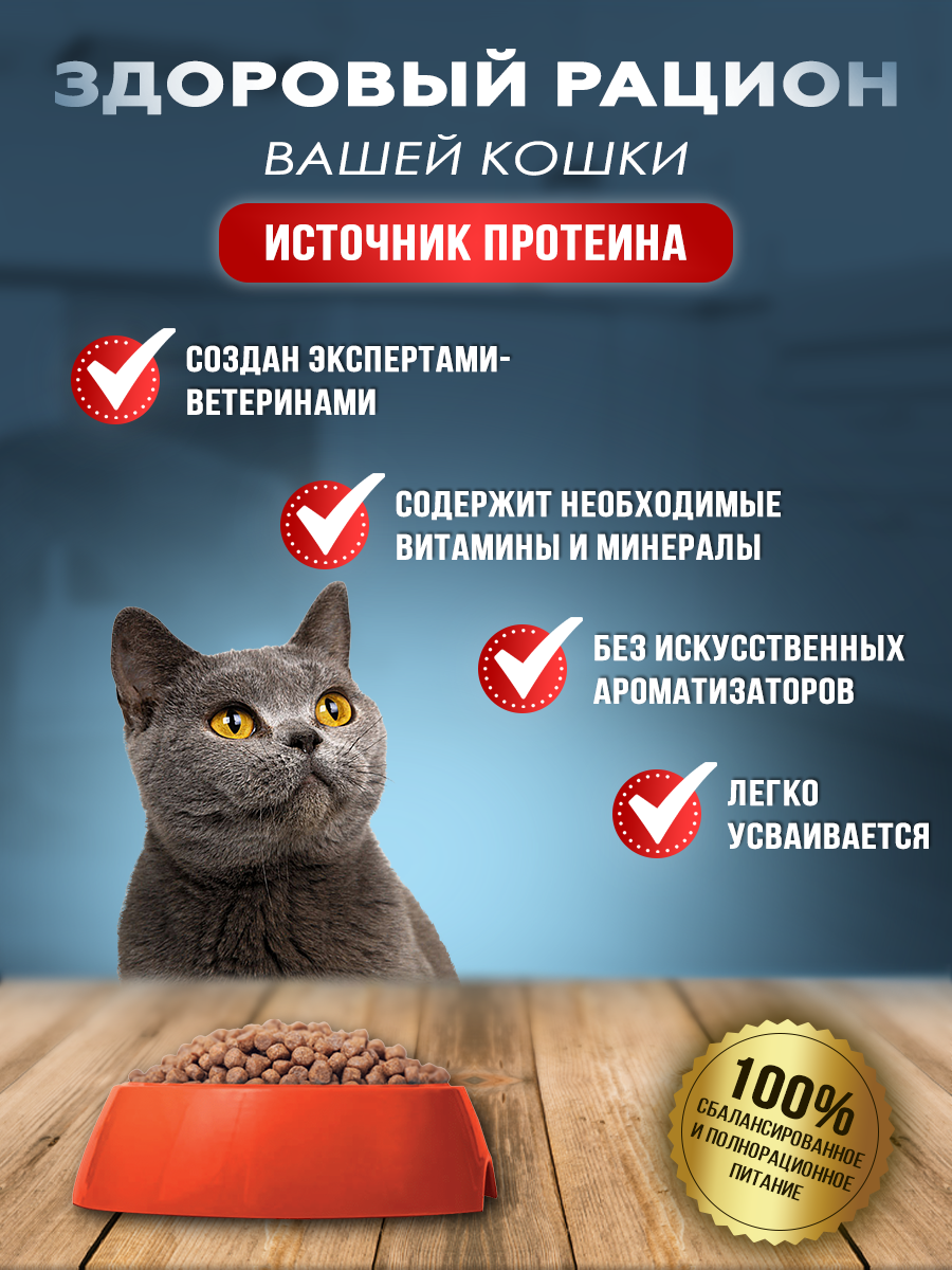 Полнорационный сухой корм с говядиной для кошек и котов Zoofood, (3 x 700г) - фотография № 2