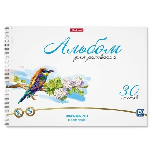 Альбом для рисования А4, 30л на спирали ErichKrause Birds, микроперфорация 9515290