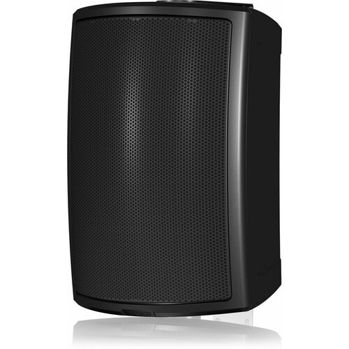 Tannoy AMS 6DC пассивная акустическая система 4393000₽