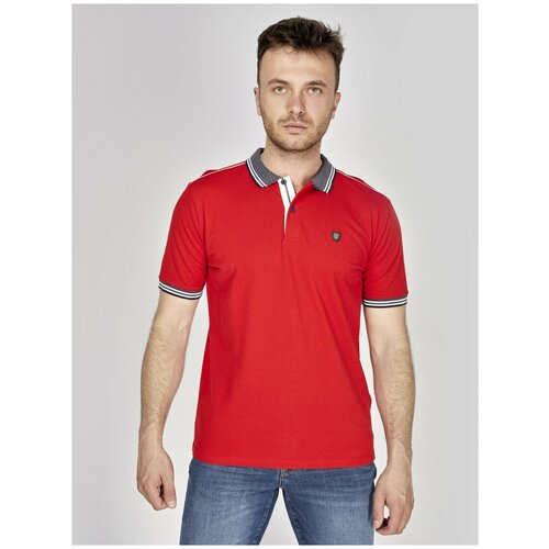 Поло Claudio Campione, прямой силуэт, однотонное, размер 50 EU, красный