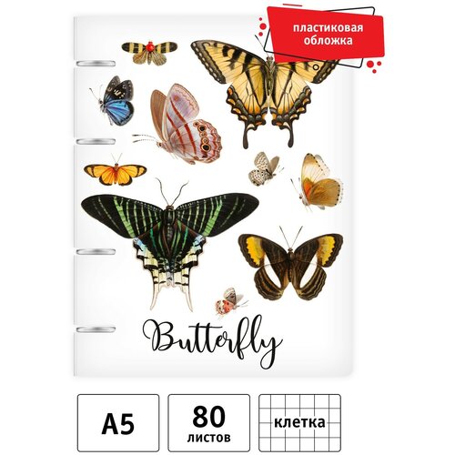 Папка-тетрадь на кольцах со сменным блоком А5, 80л, кл., Butterfly, Seventeen (10826)