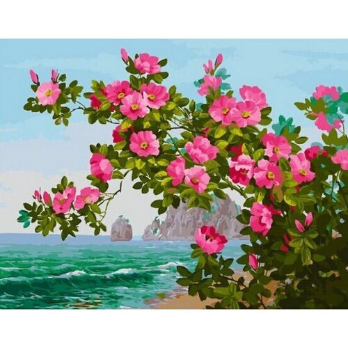 Картина по номерам Цветы у моря 40х50 см Hobby Home