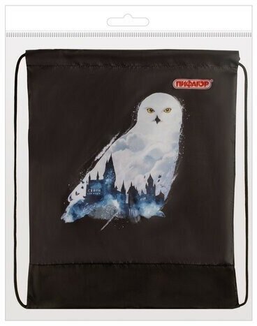 Мешок для обуви пифагор, 1 отделение, 42х34 см, "White Owl", 270182