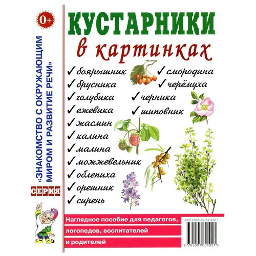 Кустарники в картинках. Наглядное пособие для педагогов, логопедов, воспитателей и родителей