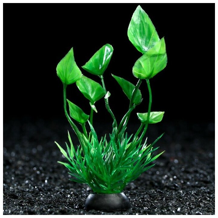 Растение искусственное аквариумное, 10 см, зелёное - фотография № 1