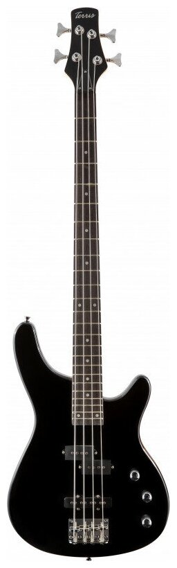TERRIS THB-43 BK бас-гитара, цвет черный
