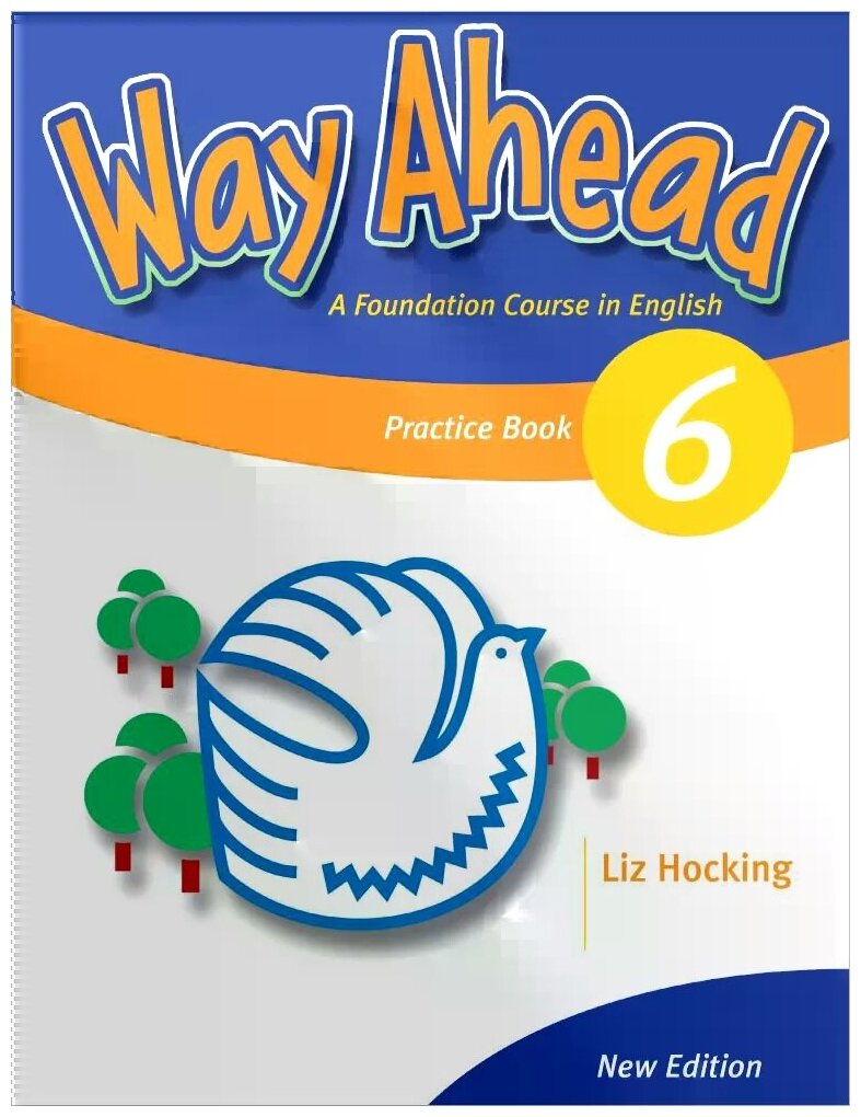 Way Ahead 6 Practice Book (Hocking Liz) - фото №1