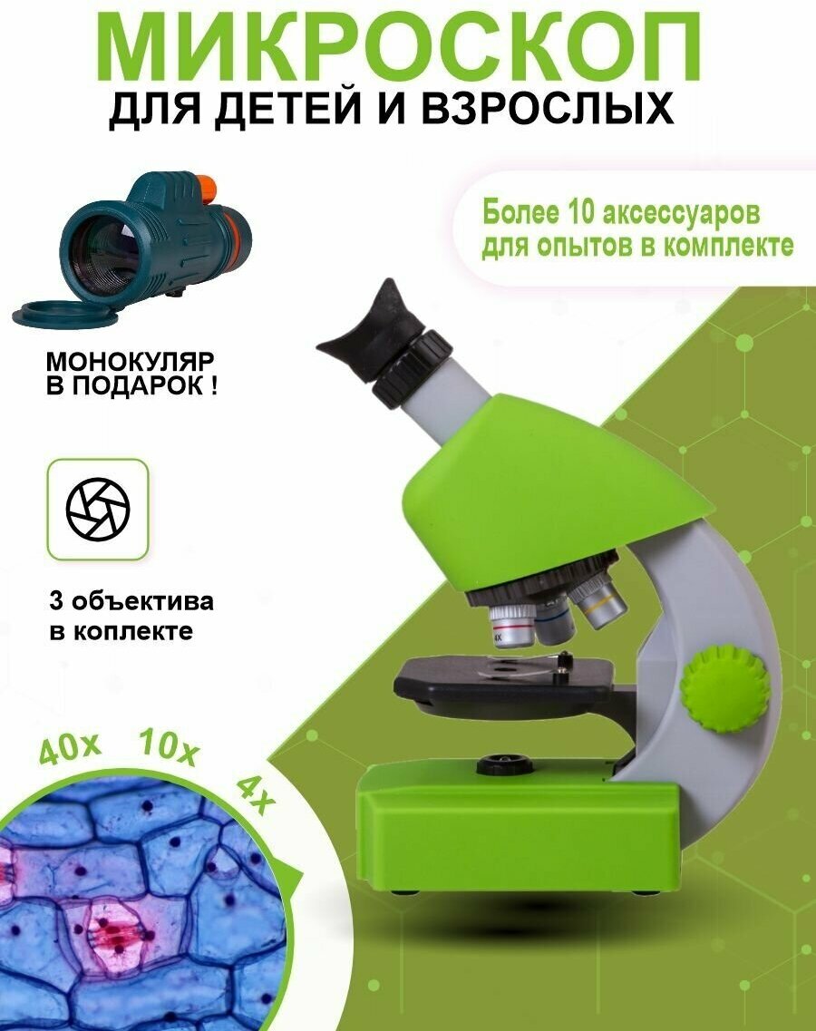 Микроскоп Bresser Junior 40x-640x - фото №9