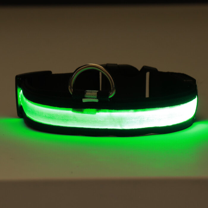 Ошейник с подсветкой "Flash", 3 режима свечения, размер XL, ОШ 52-60 х 2,5 см, зелёный 9772214
