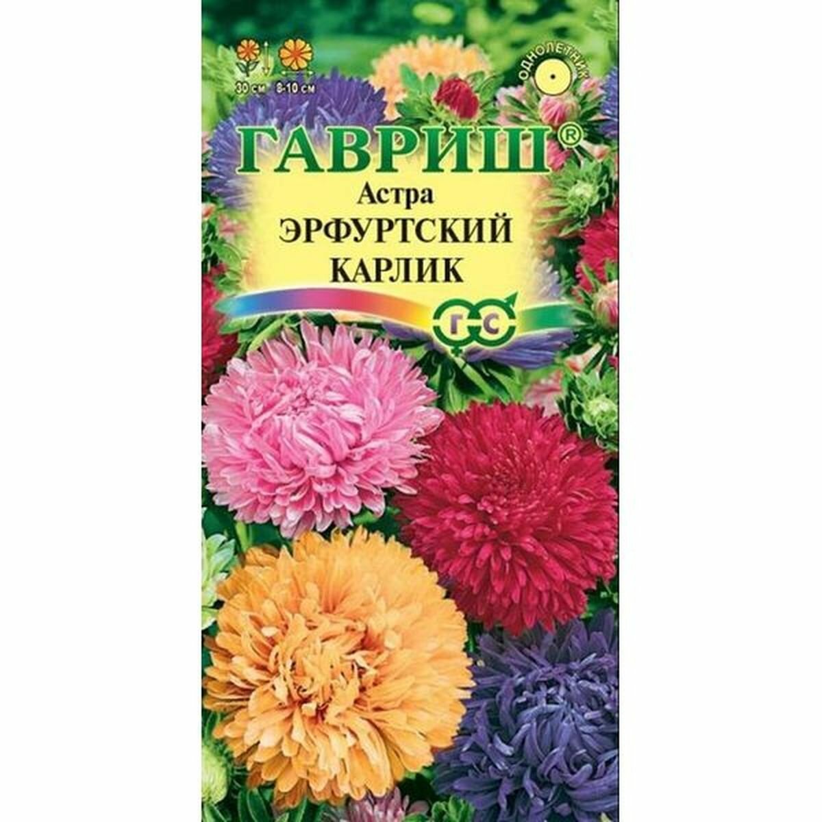 Семена Астра Эрфуртский карлик смесь однолетник Гавриш 1 пачка - 0.3г семян