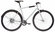Электровелосипед Fixie Backspin Zehus (2024) 58 см" Серый (180-19...