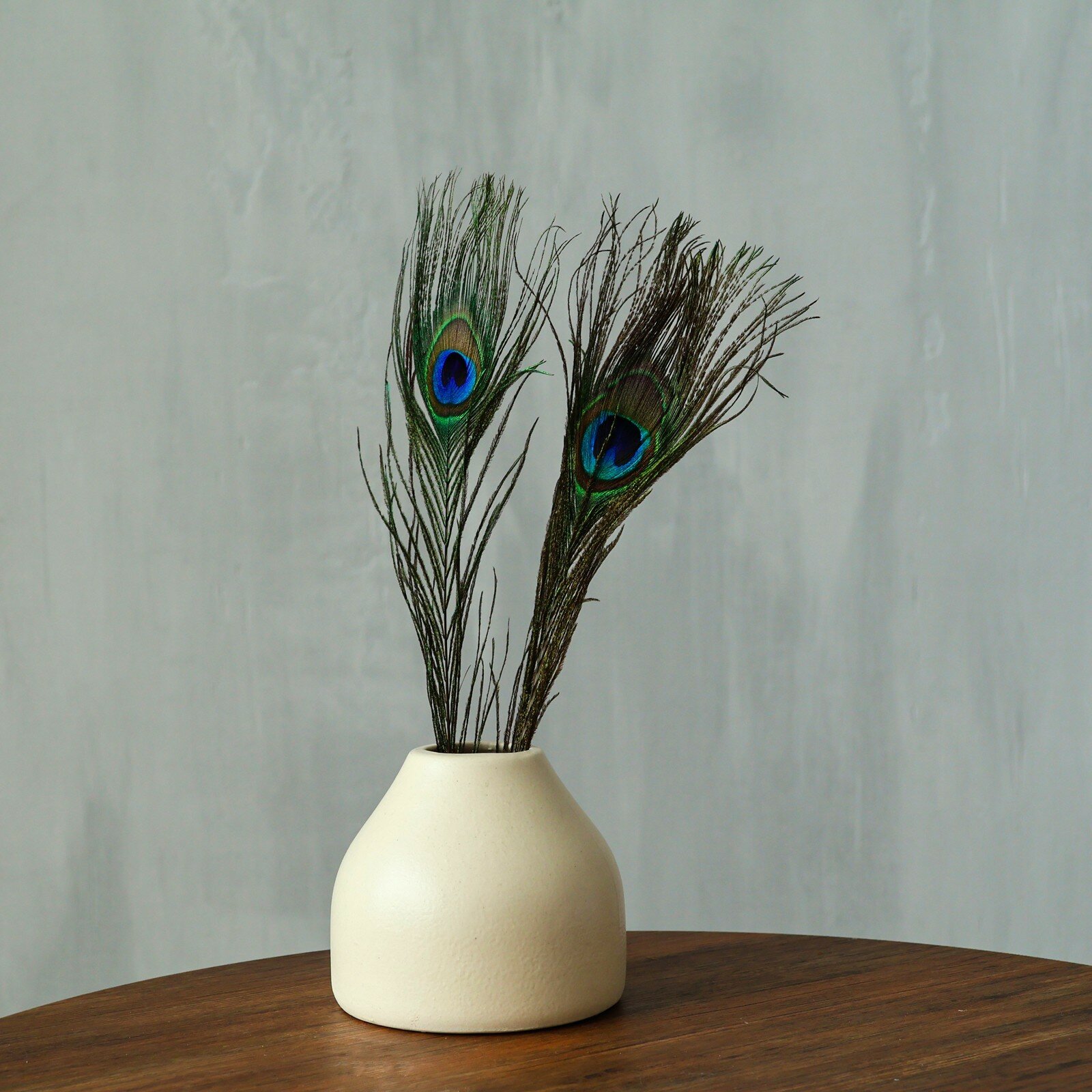 Набор перьев Школа талантов "Павлин", для декора интерьеров, создания аксессуаров и бижутерии, 2 шт — фото 1